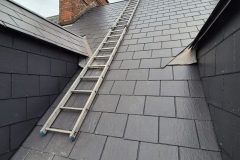 roofing companies cork