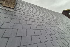 IMG-20250128-WA0071