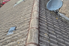 IMG-20250128-WA0095