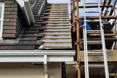 IMG-20250128-WA0097